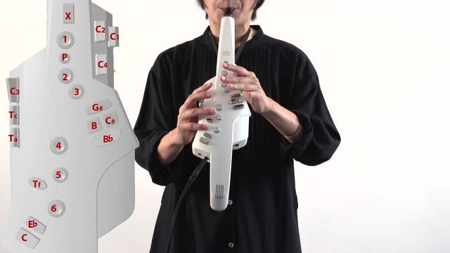 罗兰电吹管 ae-10 视频指南 06 正面按键和八度按键