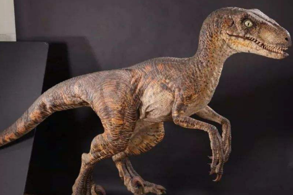 迅猛龙和恐爪龙有什么区别?