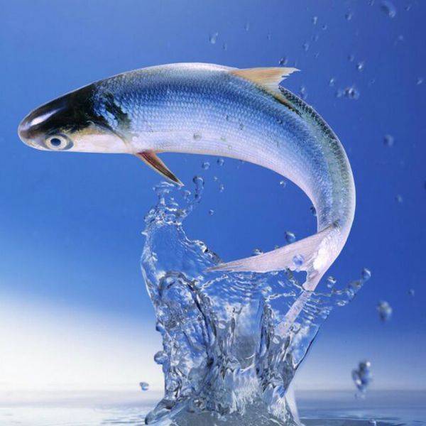 建设银行信用卡里一万本金欠款五千逾期三个月