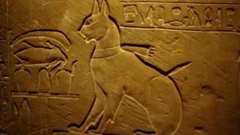 古 埃及金字塔里发现了一只猫?一起去看看