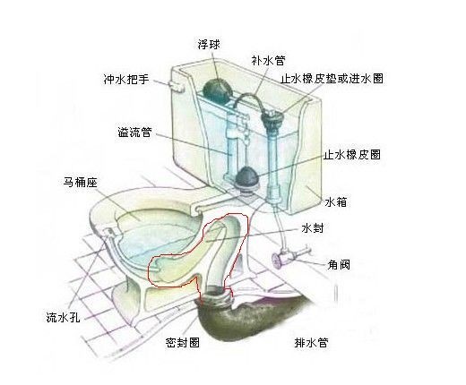 马桶里面的吸水管直径