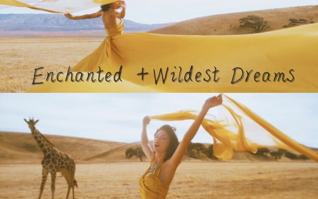 [图]Enchanted+Wildest Dreams mash up