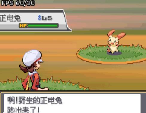 口袋妖怪绝对魂银所有练级点