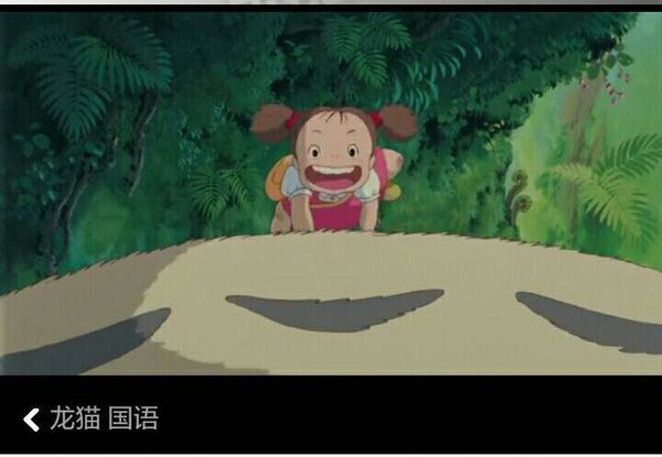 女朋友,让我有空了看看龙猫!