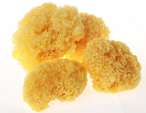 怎样快速让脸变白