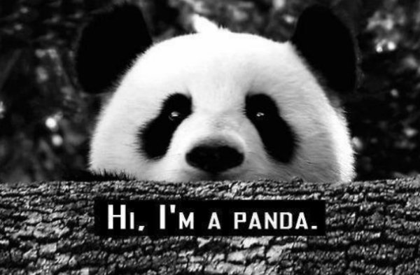 高阻抗 ; 加强接管设定 ; 高增益 2,hi panda 熊猫人 ; 你好熊猫