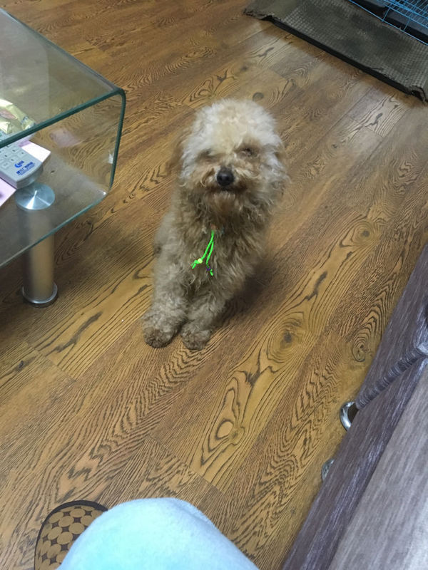 中央新闻联播片尾曲叫什么名字?求大神解答