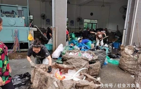 上海主要分几类垃圾