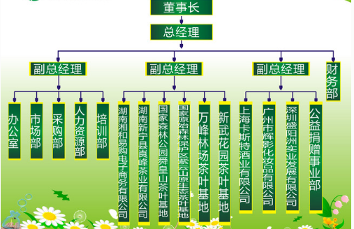 茶叶销售部的春天：如何把握行业发展趋势