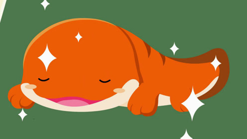 第43集 一级保护 动物娃娃鱼