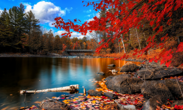 求2k分辨率的高清壁纸