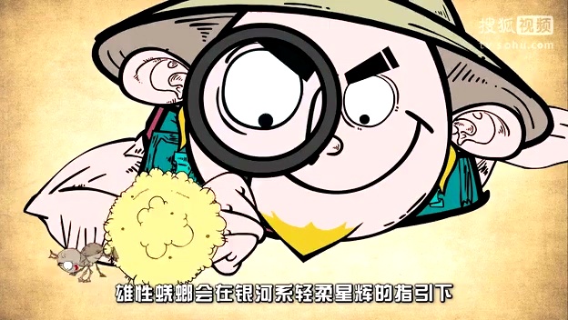 礼花蛋第一季:低头吃翔 抬头观星- 学而思礼花蛋