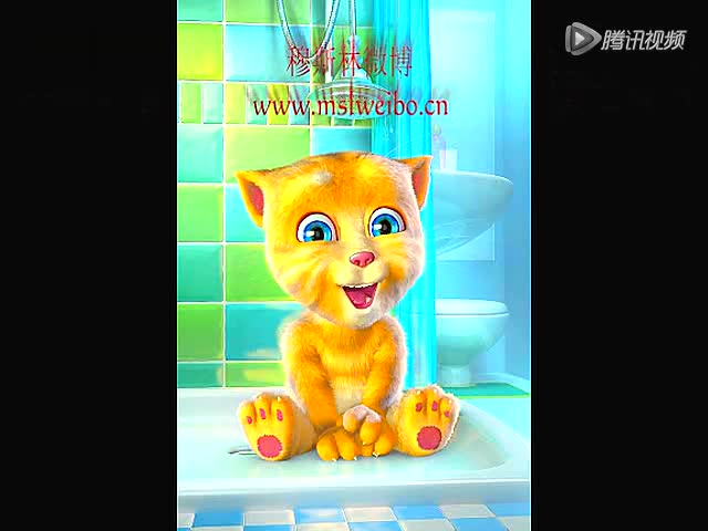 会说话的金杰猫说撒拉语搞笑视频_高清