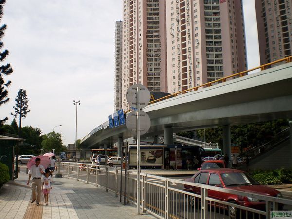 深圳市自考办地址