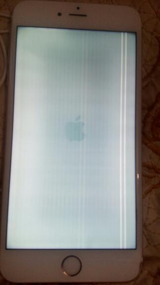 6s进水后屏幕有横纹,出现苹果logo但开不了机