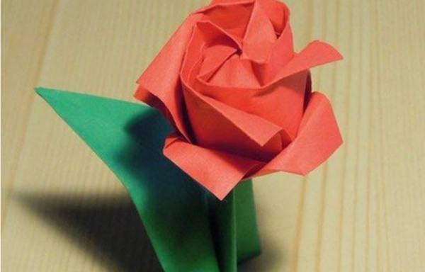 川崎玫瑰的花语图片