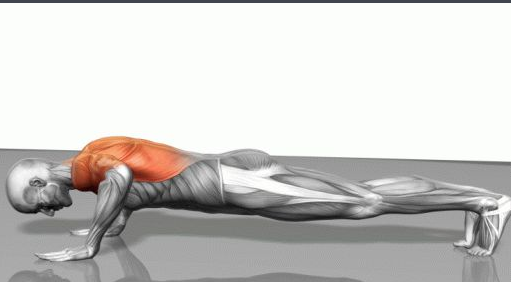 由简到难为:站式俯卧撑——上斜俯卧撑——标准俯卧撑——下斜俯卧撑