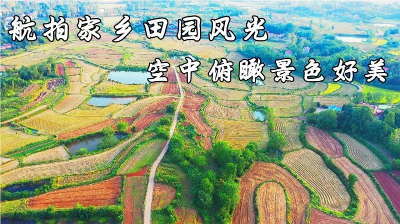 [图]第一次航拍家乡,田园风景美如画,魅力新农村,空中俯瞰梯田震撼