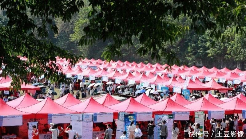 2020应届毕业生北京高校招聘