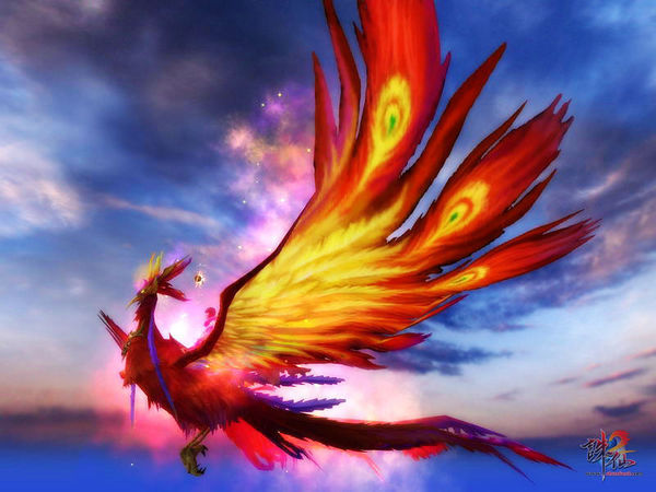 问道 九曲玲珑笔·火凤是什么样子的 求图