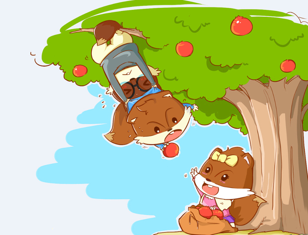 爬窗户的小松鼠的故事