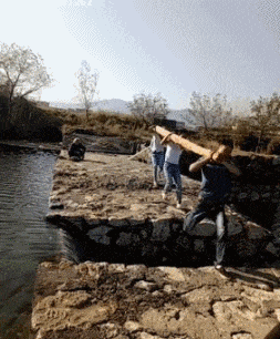 t01931c1bc5a4fe8155.gif?size=253x306