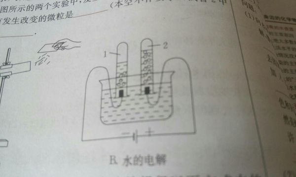 看B图,水的电解实验。我知道正极的是氧气,可