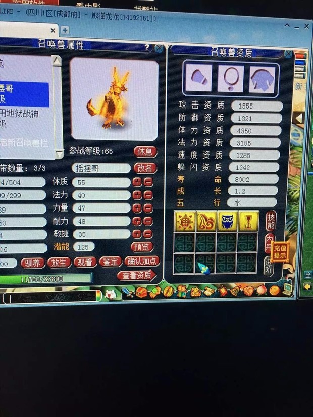 梦幻西游变异蛟龙打什么书好