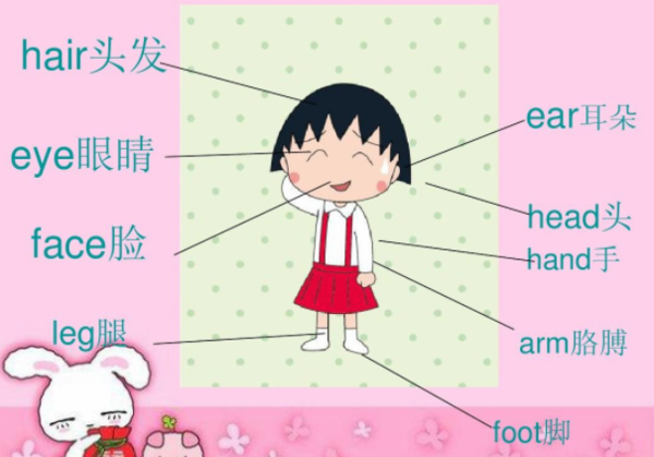 foot是什么意思,请翻译成中文