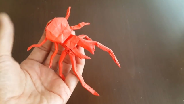 宝宝学折纸:蜘蛛折纸成品欣赏,注意这几个诀窍和细节,你会了吗