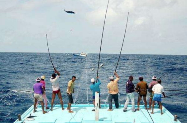 船钓竿80号什么意思 船竿30ー50什么意思 精作网