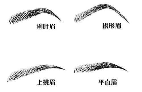 请教什么是柳叶眉?怎么看?请用自己的话描述,谢谢!