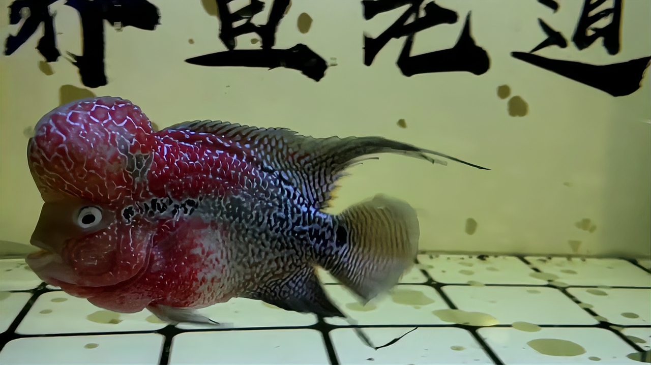 360影视 影视搜索 360影视 影视搜索