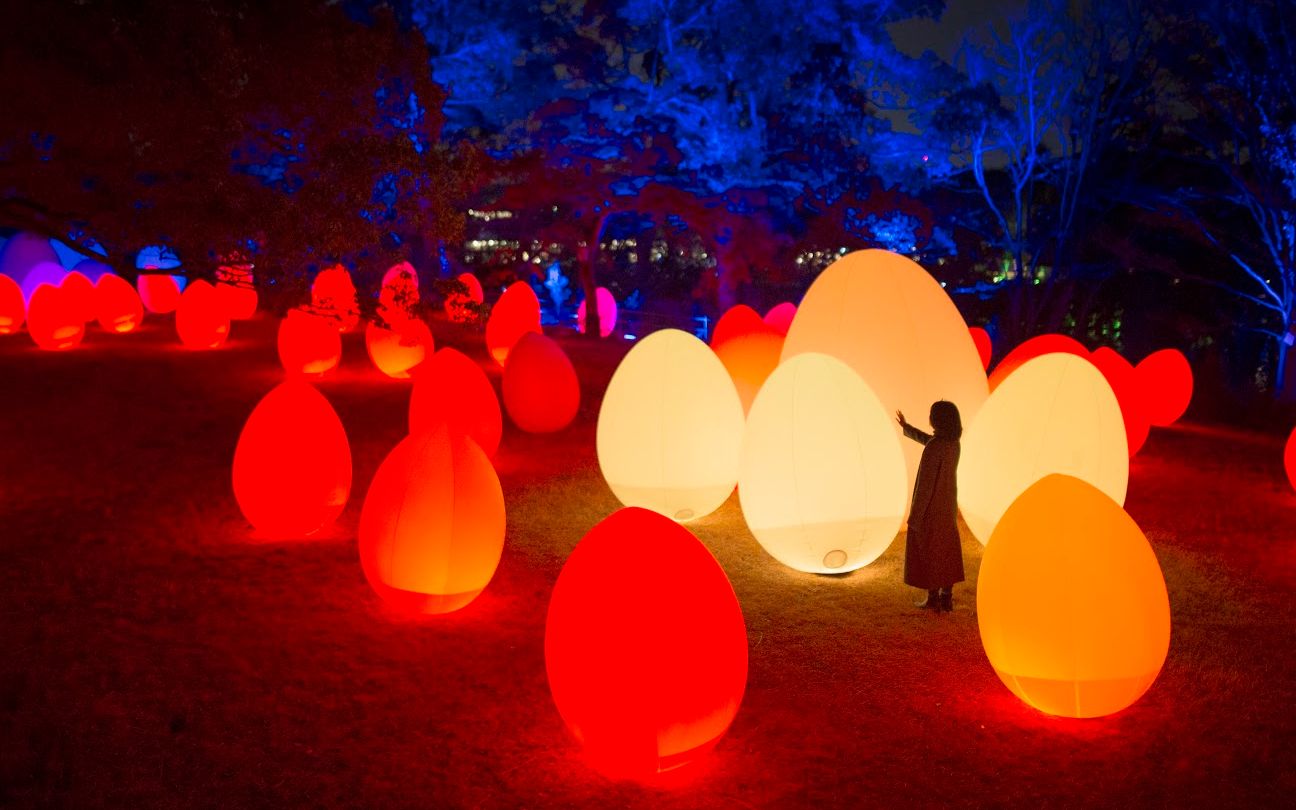 【哈扣生活】别样的 日本圣诞节灯光秀-「森と湖と光の祭」