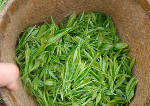 开化龙须(开化龙须茶 价格)