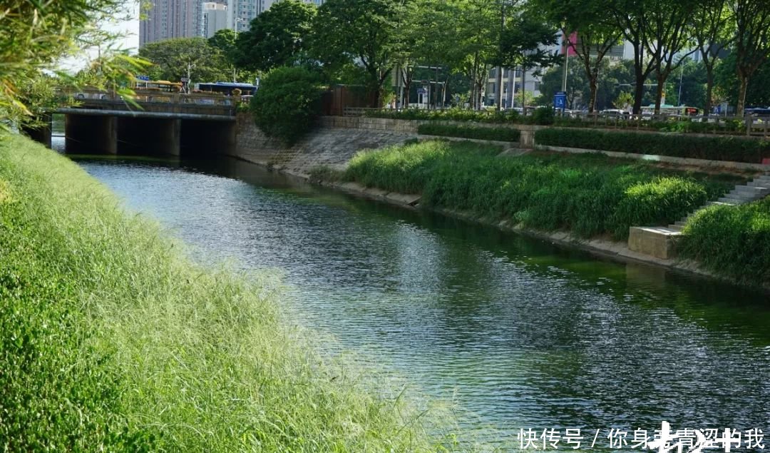 河长办污水管网