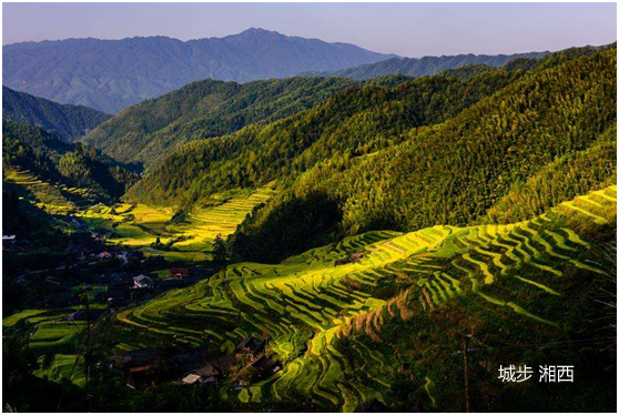 7月,8月份适合去哪里旅游好