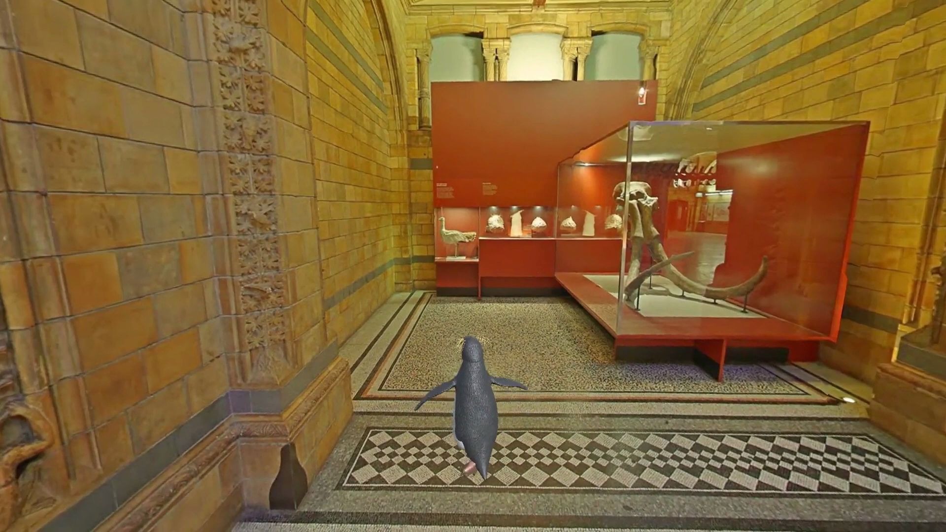 [图]Catch the Penguin at the Natural History Museum in London