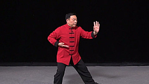 张东武老师一招一式教你打好太极拳闪通背,对照练一看就会