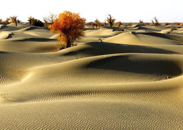 中国最美的七大沙漠 你听说过哪几个