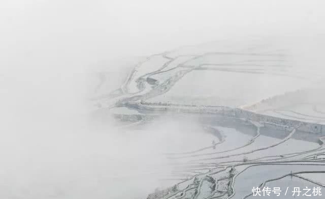 现实与理想有什么