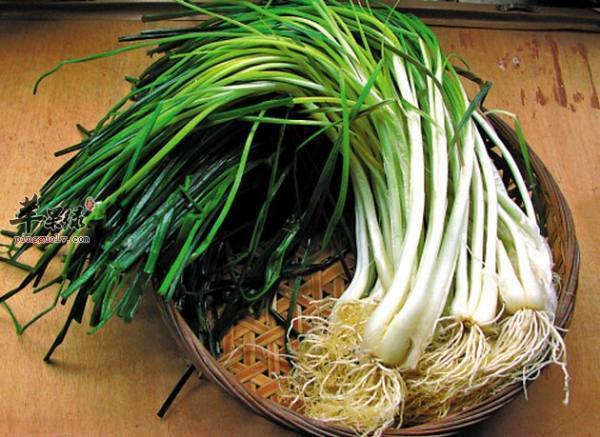 饭店最常见的泡菜,荞头,就是用荞菜的根部做的,长相跟大葱差不多