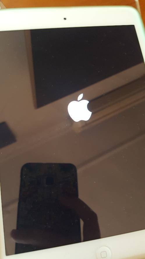 ipad mini更新系统一直卡在黑屏白苹果状态