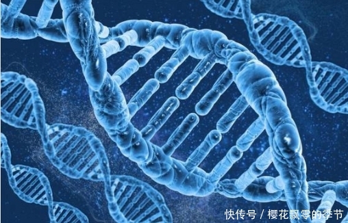 为什么dna叫脱氧核糖核酸