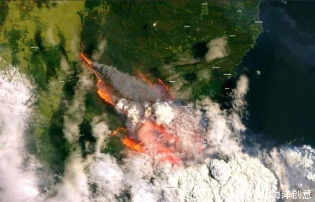 3在澳大利亚火灾