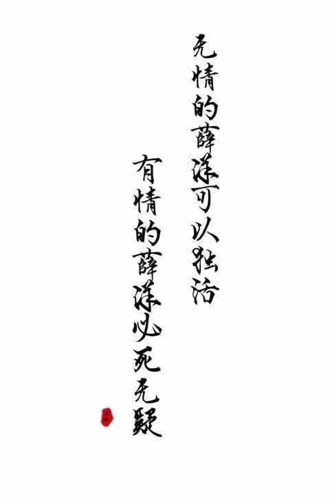 关于魔道祖师,薛洋的文字背景图 感谢大佬