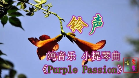 东东音乐: 手机铃声《purple passion》紫色激情!纯音乐 小提琴曲