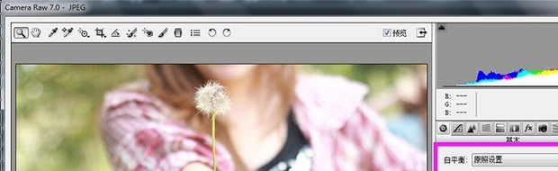 Photoshop camera raw 360 