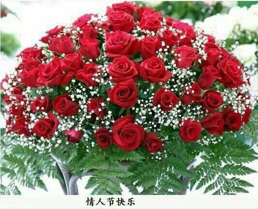 lawns2005 采纳率: 43%    等级:    已帮助: 12427人 私信ta