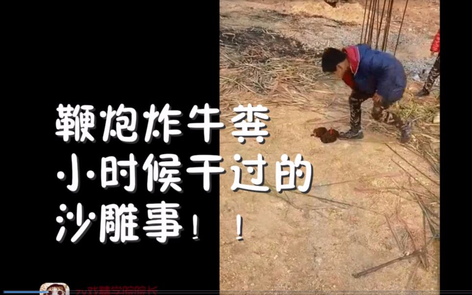 鞭炮炸牛粪,你怎么这么优秀!小时候干的傻事【不笑挑战10】